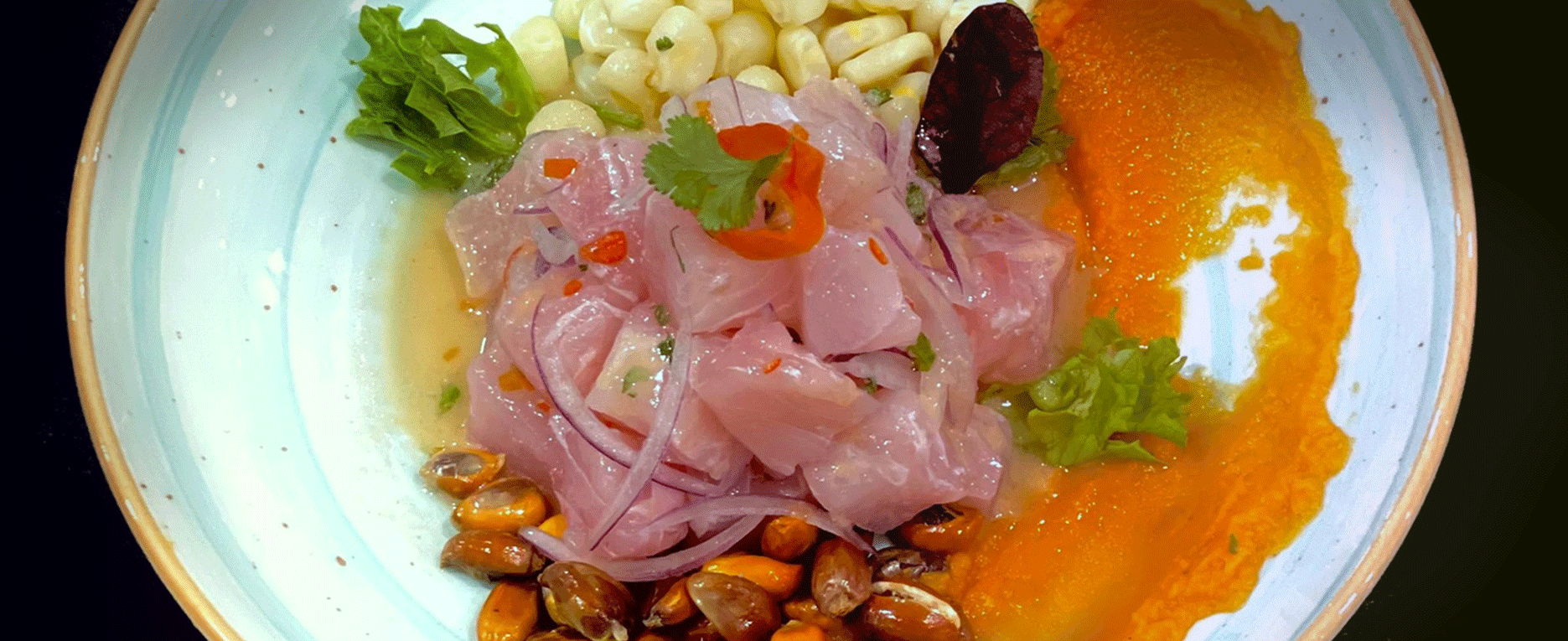SALKANTAY Chicharron de pescadoe